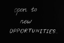 bookkeeping for growth opportunities