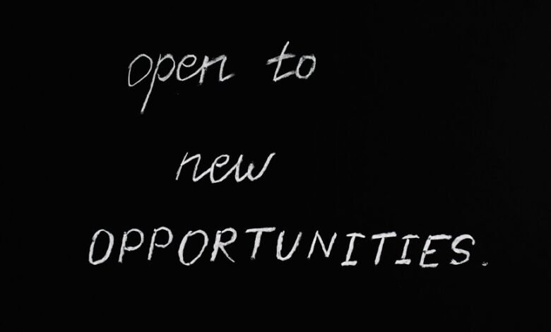 bookkeeping for growth opportunities