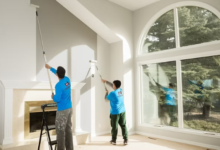 The Power of Color and Craft: Radical Interior Painting for Calgary Homes