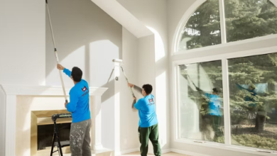 The Power of Color and Craft: Radical Interior Painting for Calgary Homes