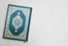 arabic login guide format description